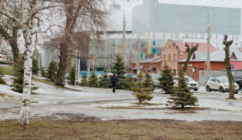 Открытие пензенского цирка снова под угрозой: экспертиза ищет дефекты стен, потолков и крыши