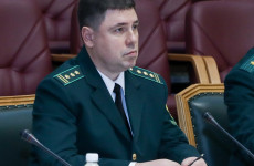 Из Пензенской области в Сибирь: в Росприроднадзоре начались кадровые перестановки