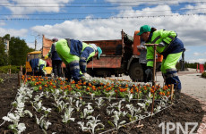 Один поставщик на 21 тендер: подрядчик ВДНХ Иван Буша озеленит Пензу за 12 миллионов