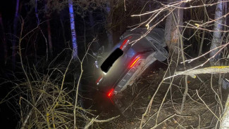 В Пензенской области трое детей попали в смертельное ДТП