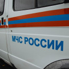 В Пензенской области пламя уничтожило садовый дом