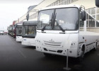 Пензенская область закупит у Беларуси 60 новых автобусов