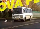 ДТП со сбитым подростком прокомментировали в пензенской Госавтоинспекции