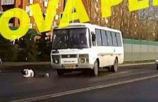 ДТП со сбитым подростком прокомментировали в пензенской Госавтоинспекции