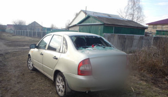 Жительница Пензенской области в пьяном угаре изуродовала машину бывшего мужа
