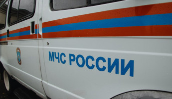 В Никольске Пензенской области подожгли хозяйственную постройку