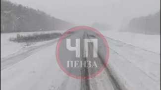 Пензенскую область накрыл мощный снегопад