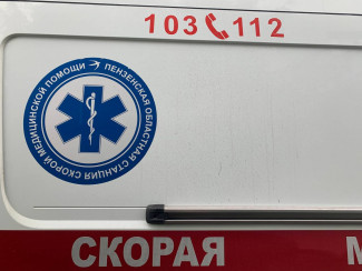 Страшное ДТП на улице Аустрина в Пензе: госпитализирована 3-летняя девочка
