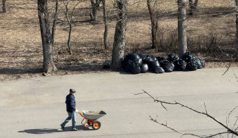 Пенза наводит порядок: как проходит городской месячник по благоустройству