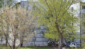 Жителей пензенского микрорайона Терновка перепугал звук, похожий на взрыв