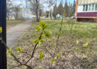 Какая погода ожидается в Пензенской области 18 апреля?