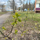 Какая погода ожидается в Пензенской области 18 апреля?