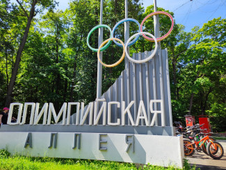 В Пензе собираются закрыть Олимпийскую аллею