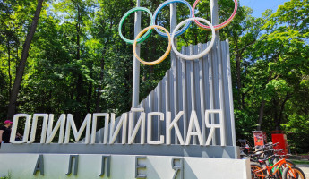 В Пензе собираются закрыть Олимпийскую аллею