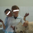 Ветеринар из Пензы опубликовал кровавые фотографии оперируемых животных 