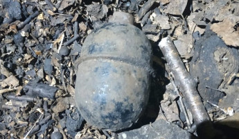 Житель Пензенской области нашел гранату на своем участке
