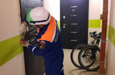 В селе под Пензой спасатели помогли женщине попасть к маленькому ребенку