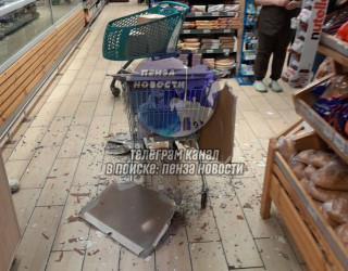 В одном из магазинов Пензы на маленькую девочку обрушился потолок