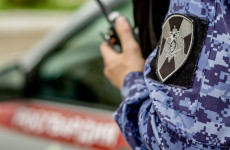 В Пензе задержали молодого мужчину, устроившего дебош в баре