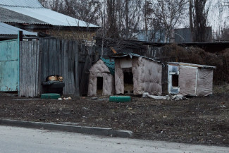 В одном из районов Пензенской области выявили очаг смертельной болезни