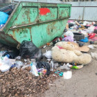 Мусорный коллапс в Заречном: город превращается в свалку