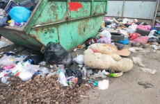 Мусорный коллапс в Заречном: город превращается в свалку