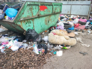 Мусорный коллапс в Заречном: город превращается в свалку