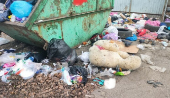 Мусорный коллапс в Заречном: город превращается в свалку