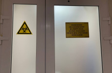 Роспотребнадзор: сообщения об обнаружении острой кишечной палочки – фейк