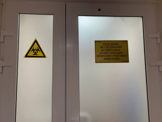 Роспотребнадзор: сообщения об обнаружении острой кишечной палочки – фейк