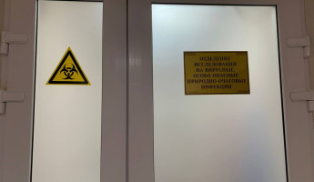 Роспотребнадзор: сообщения об обнаружении острой кишечной палочки – фейк