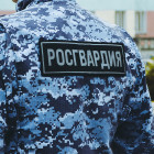В Пензе трое мужчин устроили пьяную драку в кафе