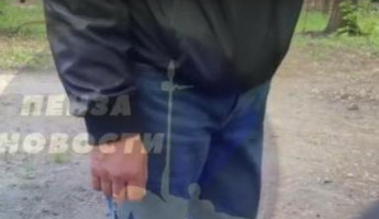 На детской площадке в Пензе педофил просил девочек посмотреть на его половой орган