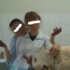 Ветеринар, выкладывавшая фото операций над животными, взяла больничный