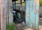 В обстоятельствах чудовищной гибели 5-летнего малыша разбираются пензенские следователи