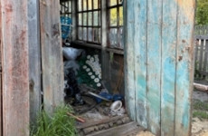 В обстоятельствах чудовищной гибели 5-летнего малыша разбираются пензенские следователи