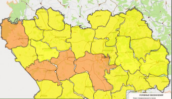 В четырех районах Пензенской области прогнозируется 4 класс пожарной опасности