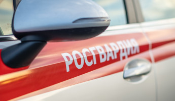 Жительница Пензы напала с канцелярскими ножницами на пожилого отца