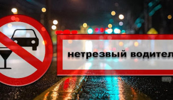В Пензе и области сотрудники ДПС вышли на поиски нетрезвых автомобилистов