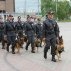 В Пензе 400 полицейских будут обеспечивать безопасность граждан в День народного единства 