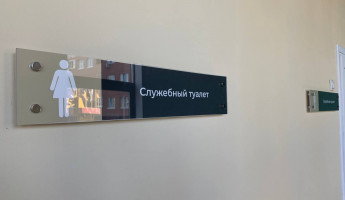 Жительница Пензы родила в московском туалете неожиданно для себя