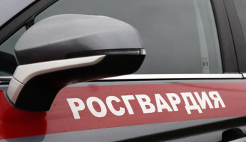 В одном из алкомаркетов Пензы задержали неадекватную агрессивную женщину