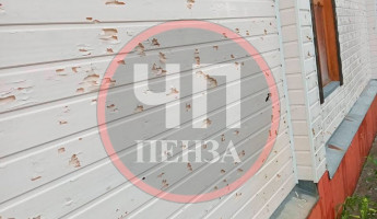 Страшный град в Пензенской области превратил обшивку домов в решето. ФОТО