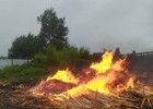В селе под Пензой полыхнул строительный мусор