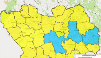 Высокая пожароопасность прогнозируется в Пензенской области 8 июня