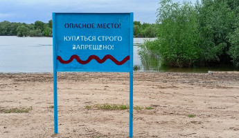 Жителей Пензы предупредили: купаться на этих четырех пляжах опасно для здоровья