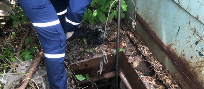 В Пензе от страшной смерти спасли собаку