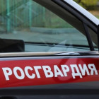 В Пензе задержали пьяного хулигана, устроившего дебош в сауне