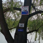 В Железнодорожном районе Пензы провели профилактические рейды на водоёмах