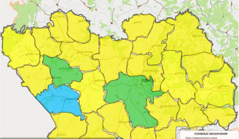 Высокая пожароопасность прогнозируется в Пензенской области 12 июня